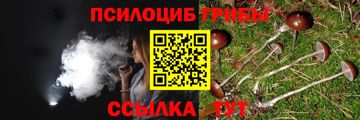 Звенигород  Псилоцибиновые грибы ЛСД  Вход с VPN 