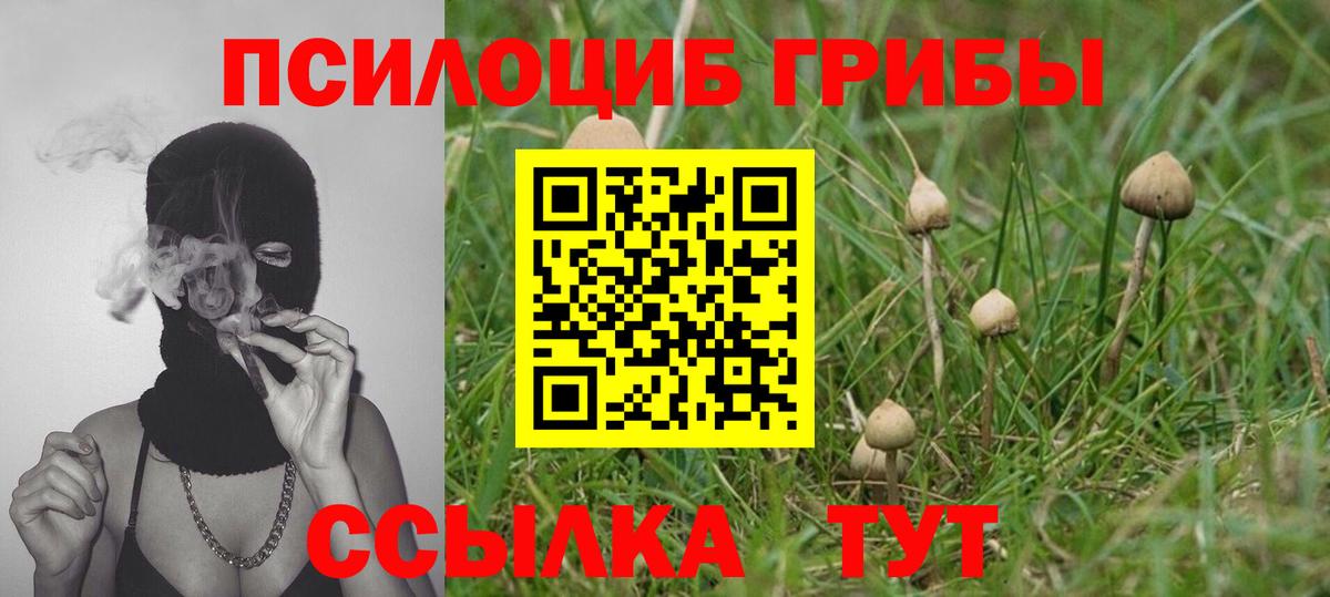 Галлюциногенные грибы Magic Shrooms Звенигород
