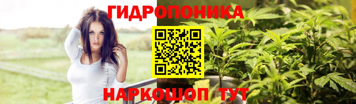 Марихуана план  Бошки марихуана AK-47  Вход с VPN  Звенигород  Марихуана конопля 
